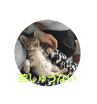 チョモ 2（個別スタンプ：3）