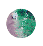 かさいさんとこの愉快なやつら（個別スタンプ：3）