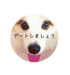 かさいさんとこの愉快なやつら（個別スタンプ：12）