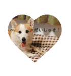 かさいさんとこの愉快なやつら（個別スタンプ：16）