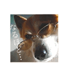 かさいさんとこの愉快なやつら（個別スタンプ：24）