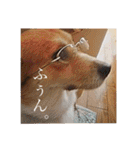 かさいさんとこの愉快なやつら（個別スタンプ：25）