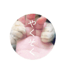 かさいさんとこの愉快なやつら（個別スタンプ：27）