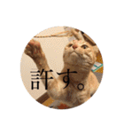 かさいさんとこの愉快なやつら（個別スタンプ：31）