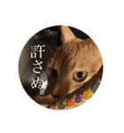 かさいさんとこの愉快なやつら（個別スタンプ：32）