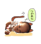 いちまるちゃん②（個別スタンプ：11）