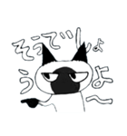 シャムねこもどき（個別スタンプ：6）