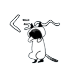 シャムねこもどき（個別スタンプ：12）