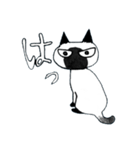シャムねこもどき（個別スタンプ：13）