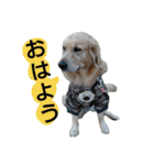 可愛いふぅちゃん（個別スタンプ：1）