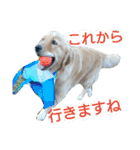 可愛いふぅちゃん（個別スタンプ：18）