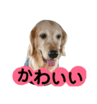 可愛いふぅちゃん（個別スタンプ：23）