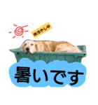 可愛いふぅちゃん（個別スタンプ：32）