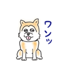 秋田犬のタロウのほのぼのスタンプ（個別スタンプ：2）