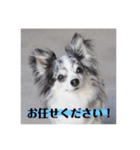 レオンとこむぎ③（個別スタンプ：4）