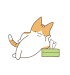 アホネコ ポンズ（個別スタンプ：2）