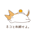 アホネコ ポンズ（個別スタンプ：10）