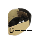 猫 あおあんず 関西（個別スタンプ：10）