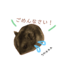 ジャンガリアンのハムカツ子（個別スタンプ：4）