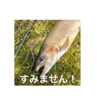 魚のキモチ（個別スタンプ：2）