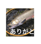 魚のキモチ（個別スタンプ：6）