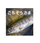 魚のキモチ（個別スタンプ：8）