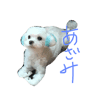 愛犬ズ2（個別スタンプ：2）