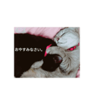 らぶるな3（個別スタンプ：3）
