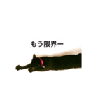 らぶるな3（個別スタンプ：7）