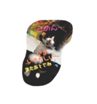 金原家（個別スタンプ：1）