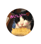 金原家（個別スタンプ：15）