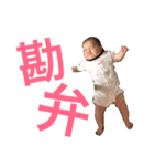 こはちゃんの日常スタンプ（個別スタンプ：4）