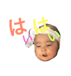 こはちゃんの日常スタンプ（個別スタンプ：8）