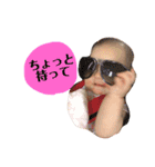こはちゃんの日常スタンプ（個別スタンプ：13）