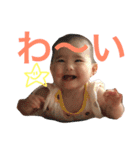 こはちゃんの日常スタンプ（個別スタンプ：15）