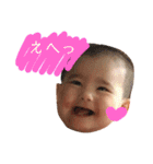 こはちゃんの日常スタンプ（個別スタンプ：22）