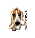 雑種犬の三郎太。（個別スタンプ：14）