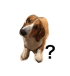雑種犬の三郎太。（個別スタンプ：22）