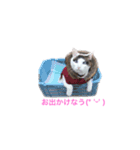 愛猫さんの日常会話（個別スタンプ：16）