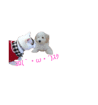 愛猫さんの日常会話（個別スタンプ：23）