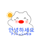 韓国語のかわいい白猫 2（韓国語と日本語）（個別スタンプ：1）