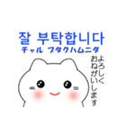 韓国語のかわいい白猫 2（韓国語と日本語）（個別スタンプ：3）