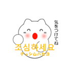 韓国語のかわいい白猫 2（韓国語と日本語）（個別スタンプ：10）