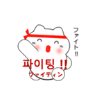 韓国語のかわいい白猫 2（韓国語と日本語）（個別スタンプ：16）