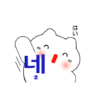 韓国語のかわいい白猫 2（韓国語と日本語）（個別スタンプ：23）