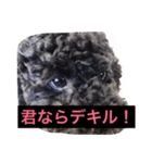 ノアくんの一日（個別スタンプ：8）
