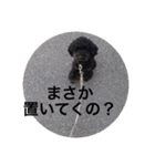 ノアくんの一日（個別スタンプ：10）