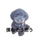 ノアくんの一日（個別スタンプ：14）