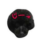 黒トイプーソウルくん（個別スタンプ：2）