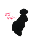 黒トイプーソウルくん（個別スタンプ：21）